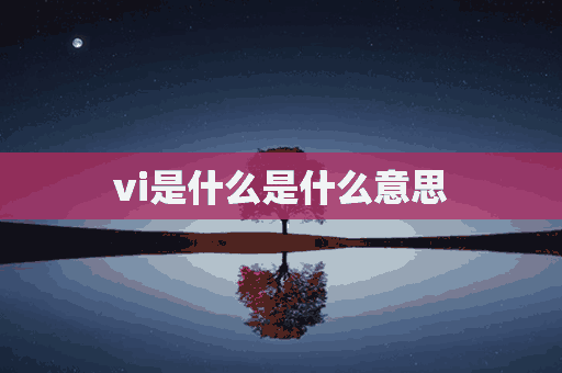 vi是什么是什么意思(vi是什么是什么意思英语)